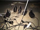 Instalaciones sistemas de seguridad cctv www.karimport.com.mx